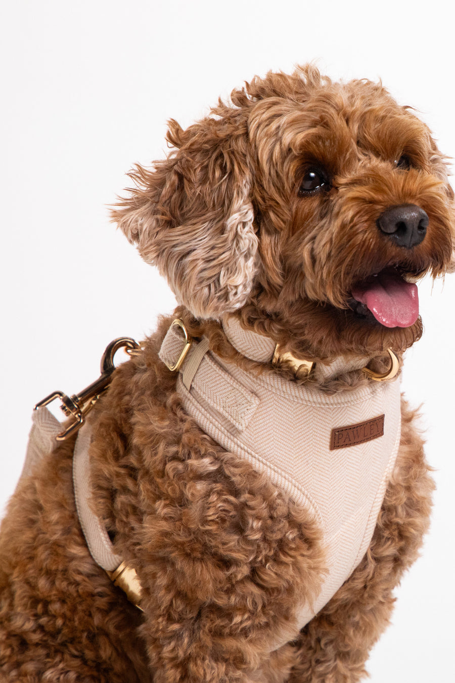 The Pawley Essential Set - Cream