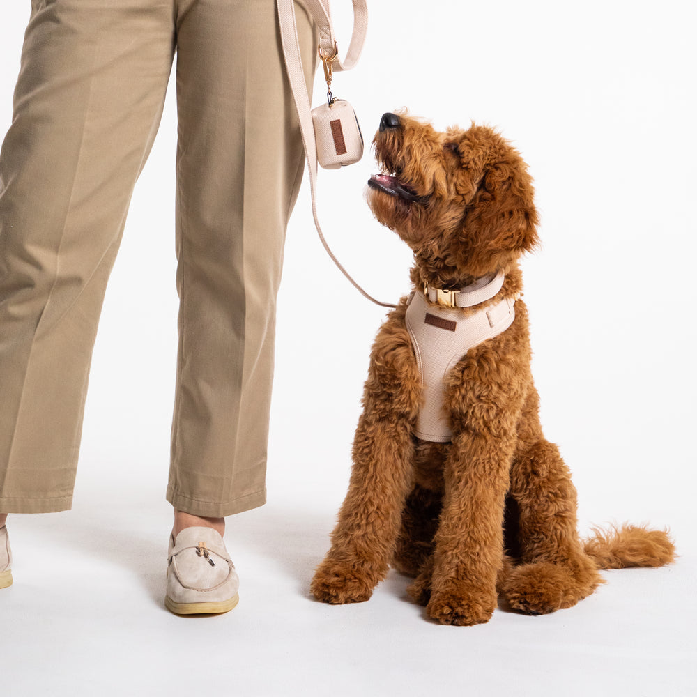 PAWLEY | Premium Dog Harnesses – P A W L E Y