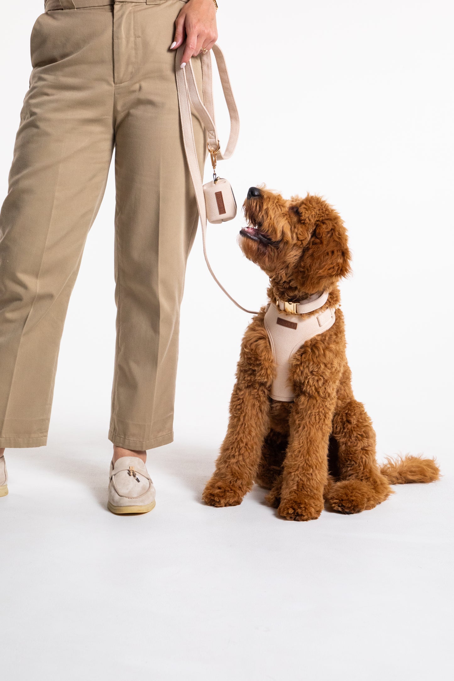 The Pawley Essential Set