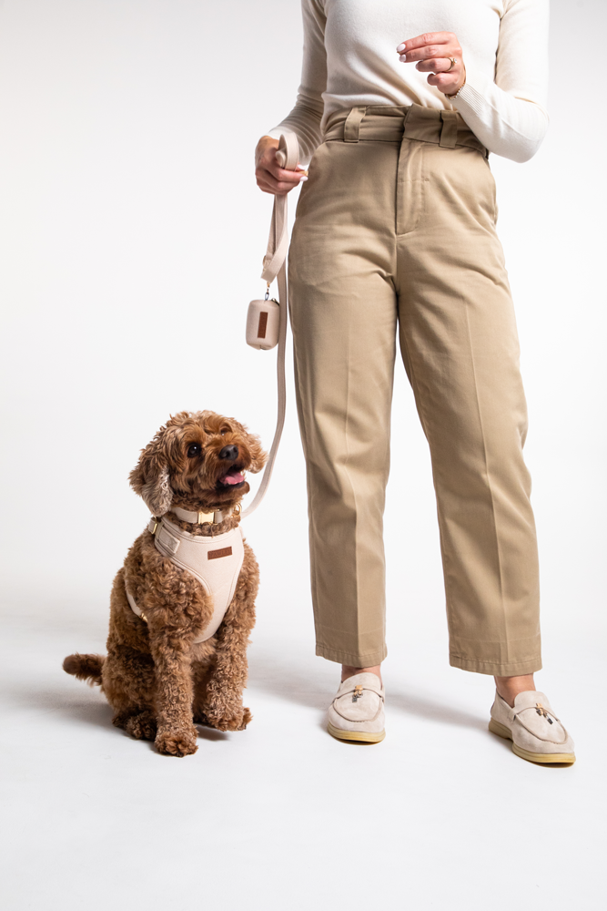 The Pawley Walking Set