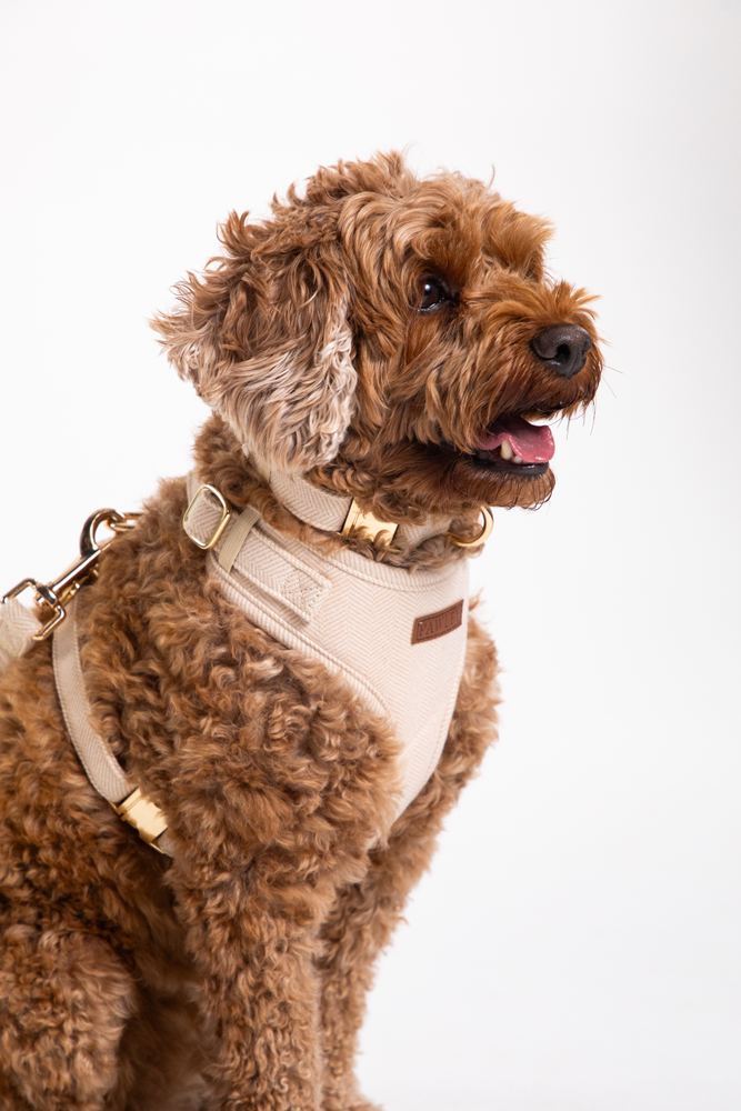 Adjustable Harness - Cream