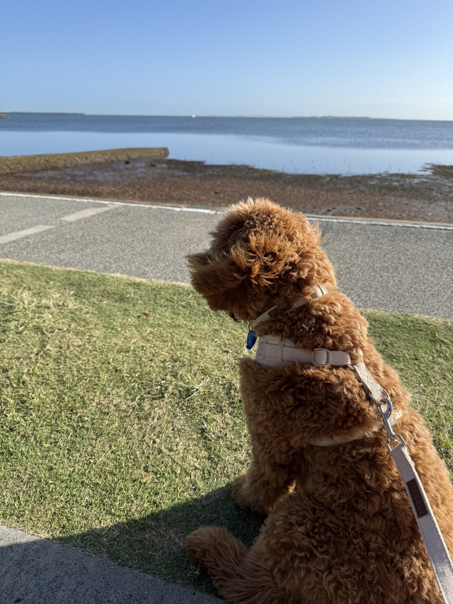 Signature Collection