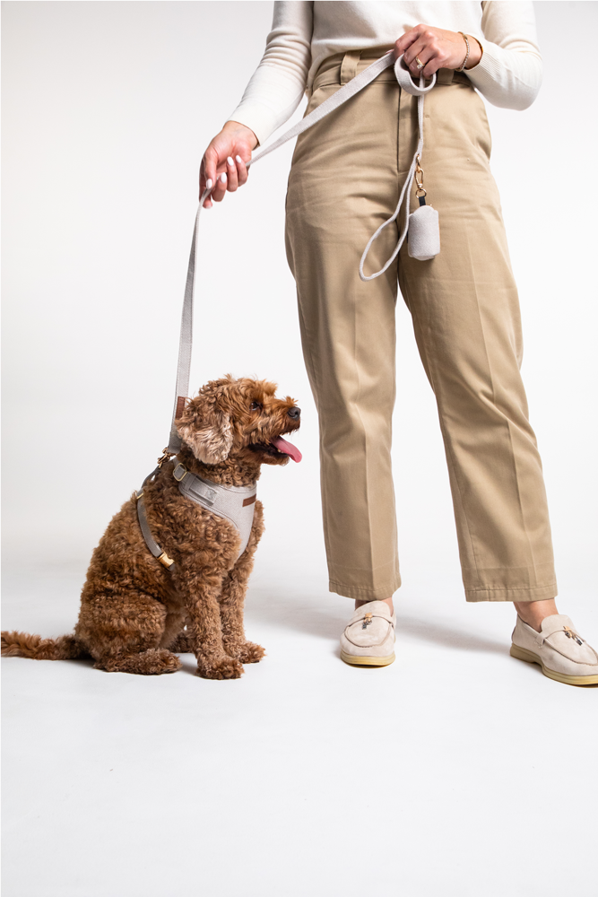 The Pawley Essential Set