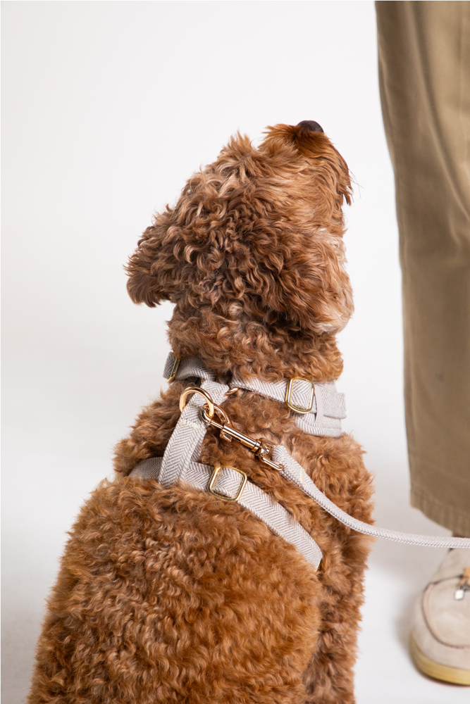 Adjustable Harness - Stone