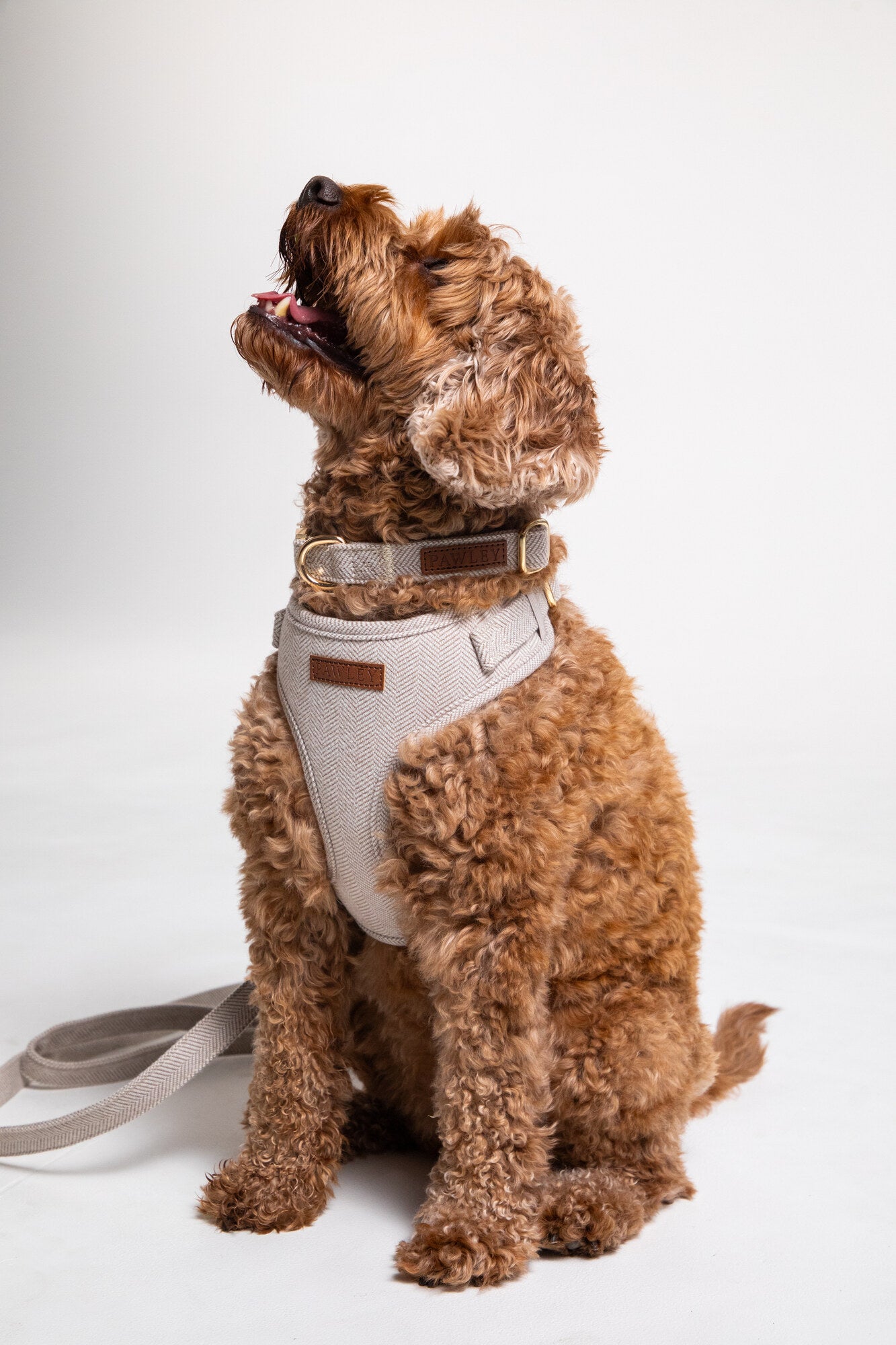 Pawley Adjustable Harness in Warm Stone