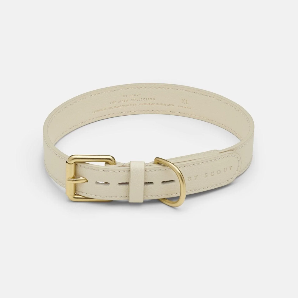 Collar - Cream