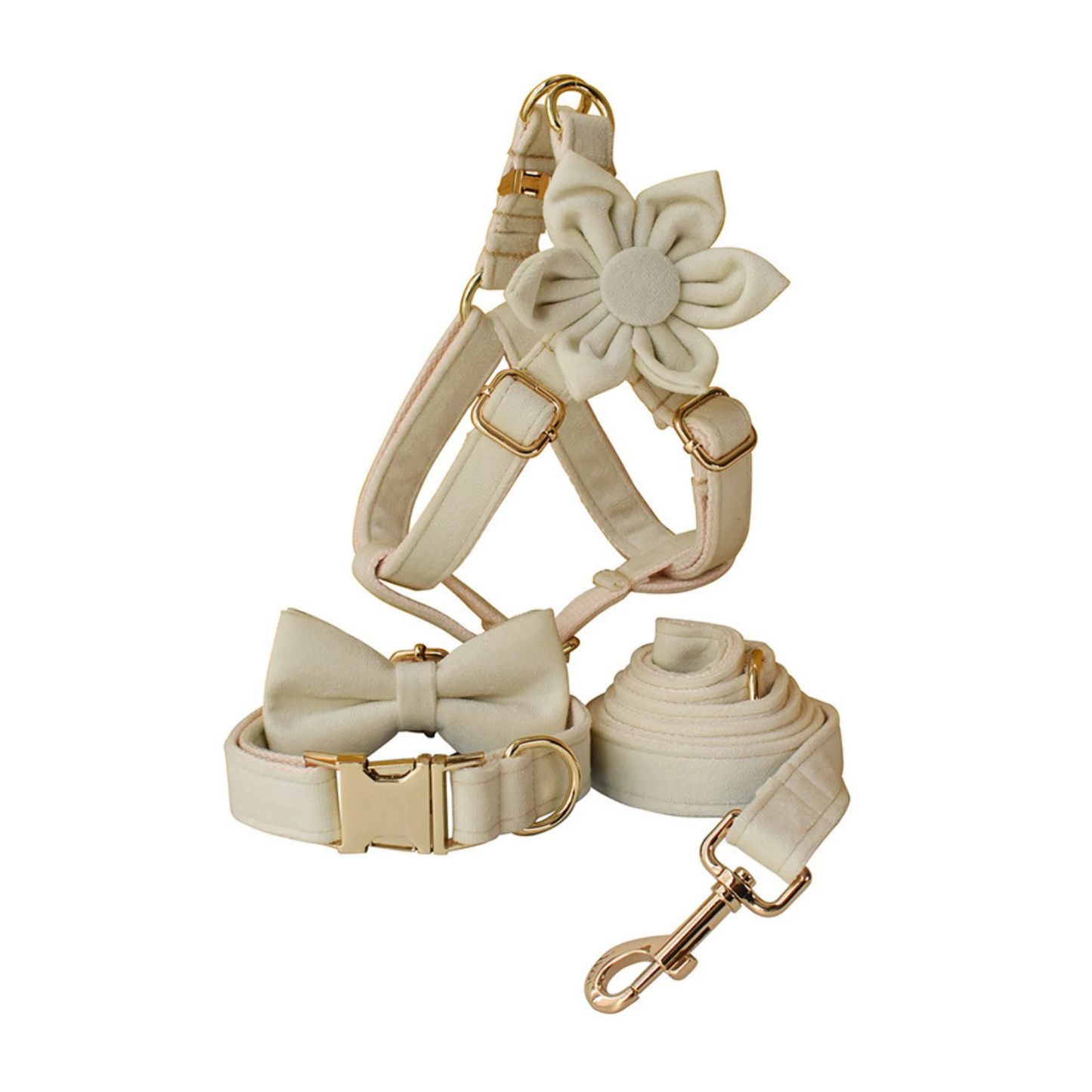 The Pawley Walking Set