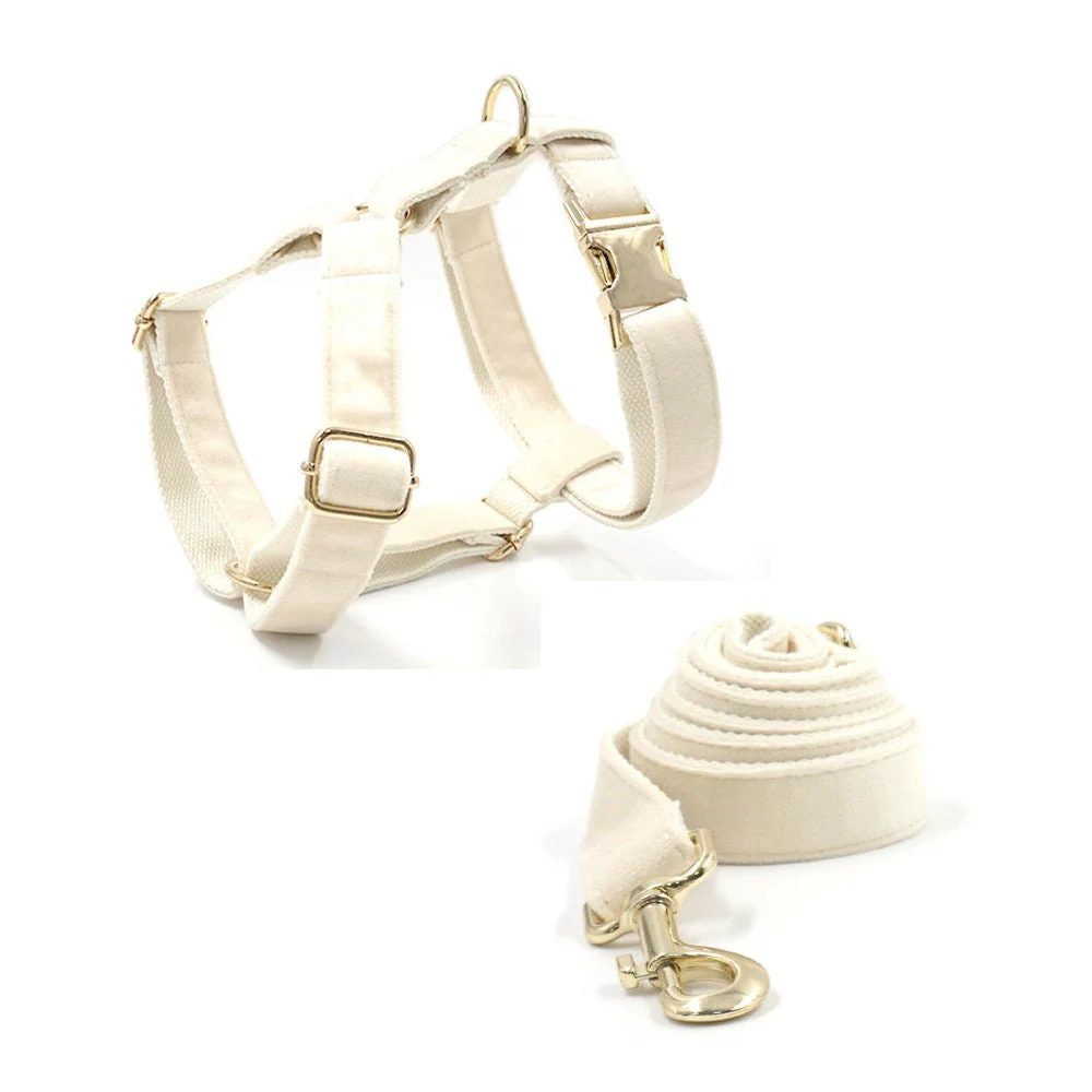 The Pawley Essential Set