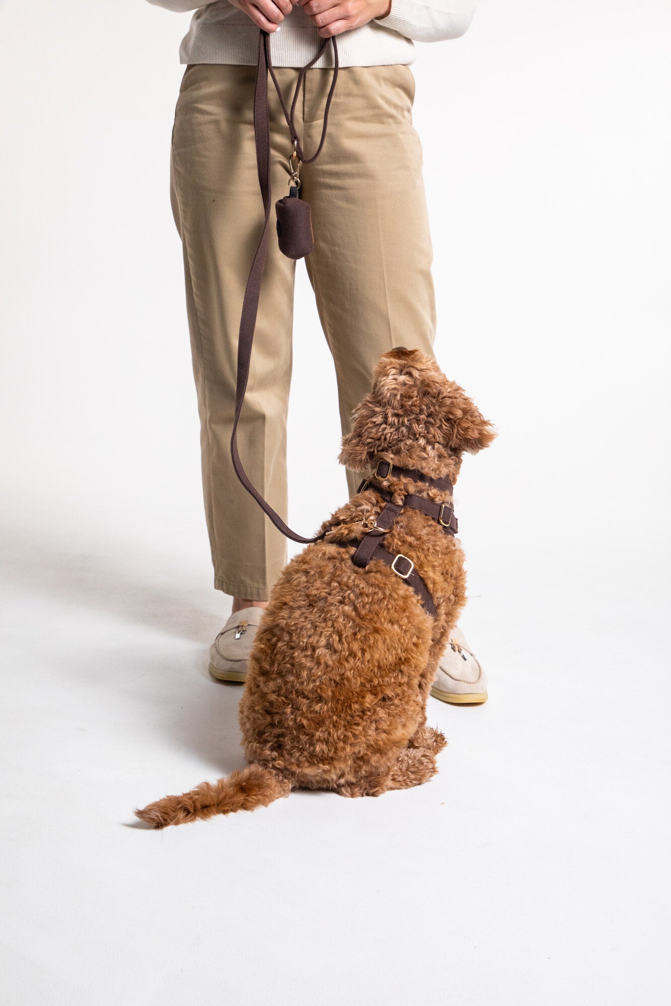 Pawley Leash in Deep Espresso