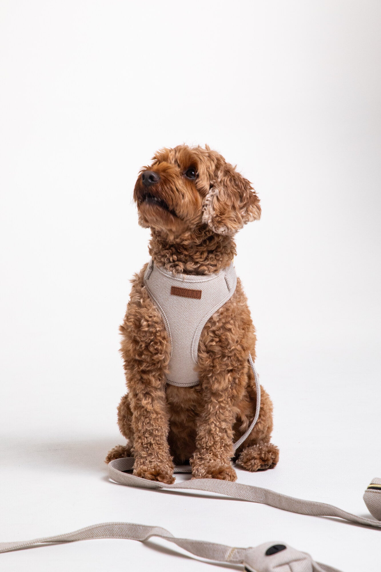 Pawley Walking Set in Warm Stone